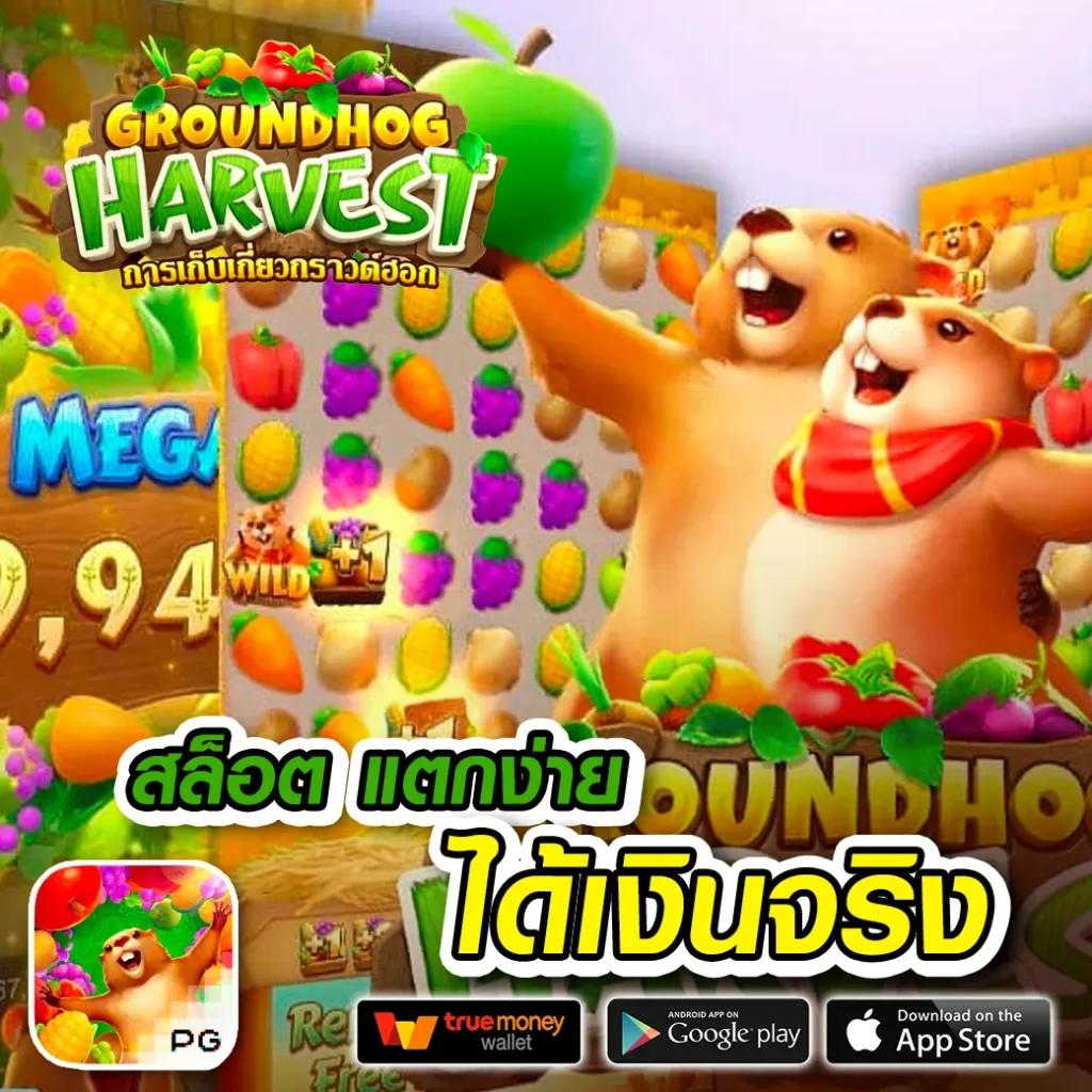 วิเคราะห์แนวทางฟุตบอลกับ วิเคราะห์บอลวันนี้บ้านผลบอล ทันกระแสทุกแมตช์
